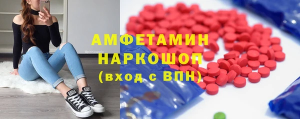 PSILOCYBIN Белокуриха