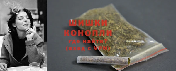 PSILOCYBIN Белокуриха
