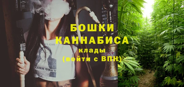 PSILOCYBIN Белокуриха