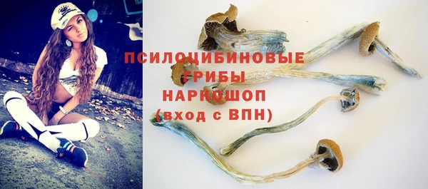 PSILOCYBIN Белокуриха