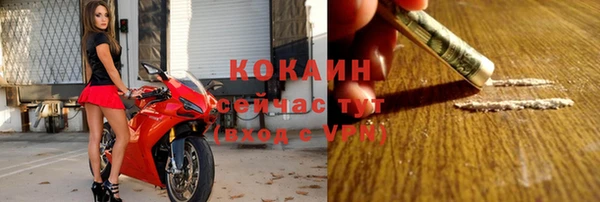 PSILOCYBIN Белокуриха