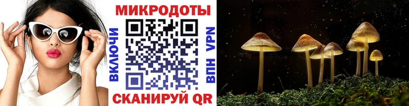 kraken вход  Верещагино  Галлюциногенные грибы Psilocybe  как найти закладки 